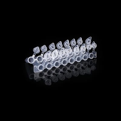 comprare Striscia a cupola della metropolitana 8 di PCR dei cappucci 0.2ml con il tubo collegato allegato di PCR otto del cappuccio fabbricazione online