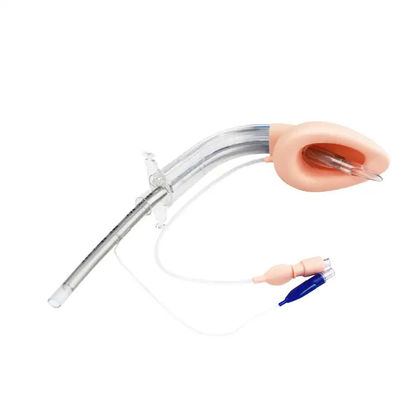 comprare Maschera laringeale a doppio lume in silicone Dispositivo per le vie aeree Dimensione 2.5 Consenti catetere 12Fr fabbricazione online