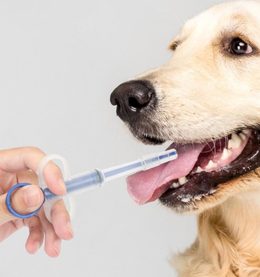 comprare Tubo di alimentazione per animali domestici Cane Gatti Pillole Pistola Medicina Siringa Kit di alimentazione di plastica durevole fabbricazione online