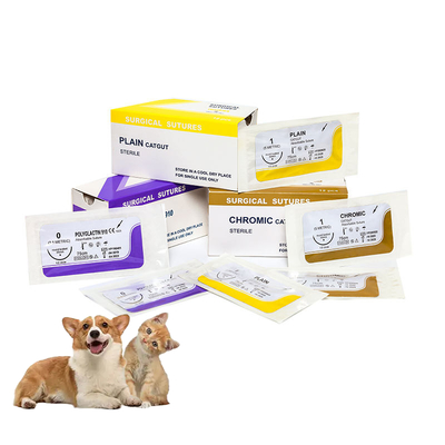 comprare Suture chirurgiche mediche monouso in catgut semplice per chirurgia ospedaliera con ago PGA/pdo/seta/nylon/catgut Sutura chirurgica sterile fabbricazione online