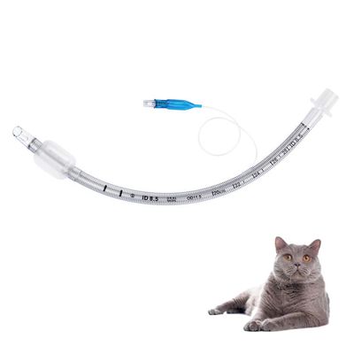 comprare Tubo Endotracheale Rinforzato Veterinario in PVC di Grado Medico con Palloncino a Forma di Oliva Catetere Anestetico Trasparente per Ospedali Veterinari fabbricazione online