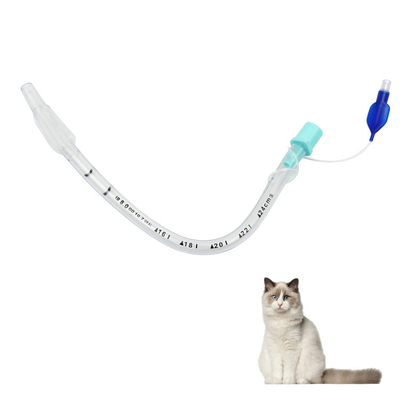 comprare Gestione delle vie respiratorie veterinarie Tubi endotracheali rinforzati ammanettati e non ammanettati per la cura di emergenza degli animali fabbricazione online