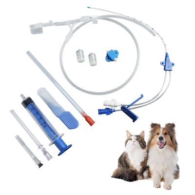 comprare Kit per catetere venoso centrale veterinario di classe II con durata di conservazione di 1 anno e materiali biocompatibili fabbricazione online