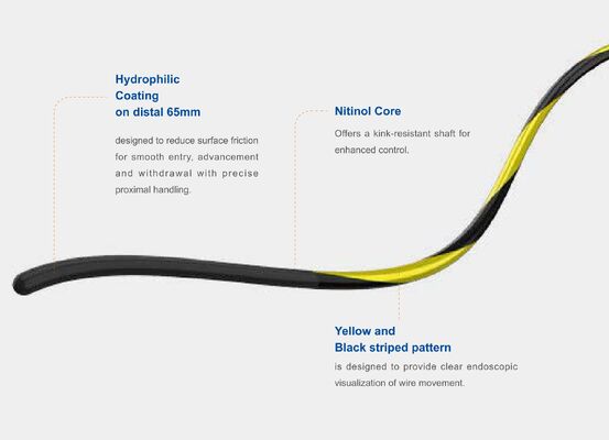 comprare Zebra Nitinol Core Guidewire Precisione, flessibilità e durata per procedure di intervento avanzate fabbricazione online