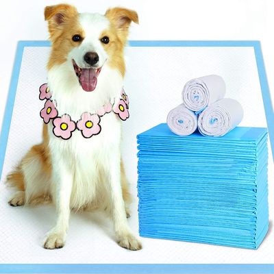 Buon prezzo Il cane eliminabile dell'ospedale di tela dei risparmiatori riempie 45*50cm Underpad eliminabile in linea