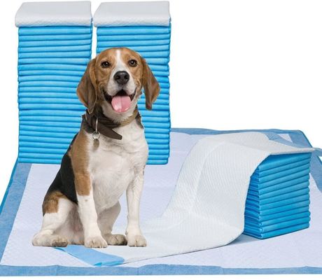 Buon prezzo Tappetino per addestramento animali domestici a 5 strati con materiale SAP super assorbente, retro in PE a prova di perdite e superficie ad asciugatura rapida per cani e gatti in linea