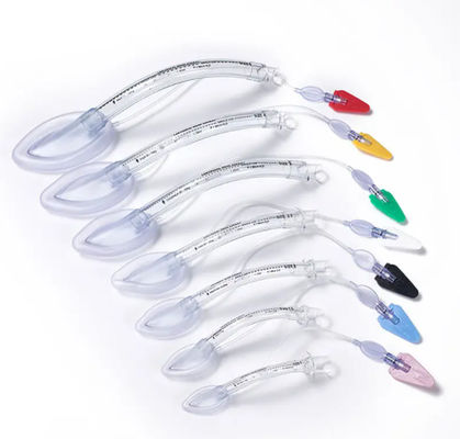 Buon prezzo Maschera laringeale monouso in PVC / silicone per stabilire e mantenere una via aerea in linea