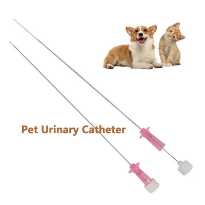 Buon prezzo Catetere urinario per gatti con stiletto ️ La soluzione ideale per la cura delle urine dei gatti! in linea