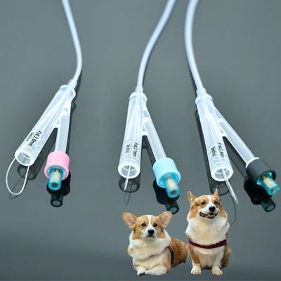 Buon prezzo Cateteri urinari per cani veterinari Materiale PVC/Silicone di alta qualità, soluzioni durevoli per la cura degli animali domestici in linea