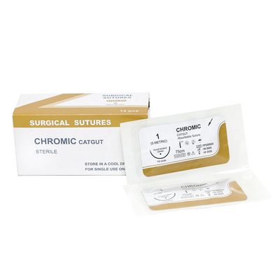 Buon prezzo Suture chirurgiche mediche monouso in catgut semplice per chirurgia ospedaliera con ago PGA/pdo/seta/nylon/catgut Sutura chirurgica sterile in linea