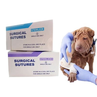 Buon prezzo Suture chirurgiche sterili in nylon Suture in monofilamento di nylon con ago in linea