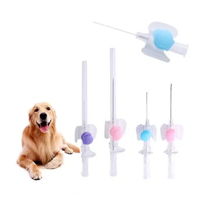 Buon prezzo Certificato ISO Cannula IV monouso Ago per iniezione endovenosa Catetere veterinario Cannula IV tipo a farfalla in linea