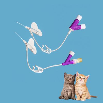 Buon prezzo 14g 16g 18g 20g 22g 24g 26g Catetere IV per gatti e cani di tipo Y Migliore fissazione in linea