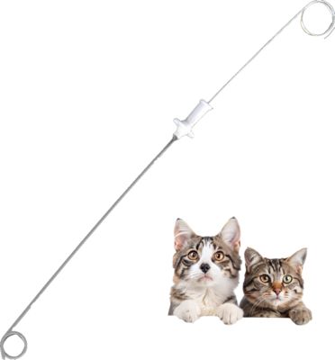 Buon prezzo Catetere per stent urinario per animali ad assorbimento a sutura medica, con piastra di sutura a filo guida, adatto ai cani, ai gatti 3Fr 4Fr, veterinario renale, renale, materiale PU in linea