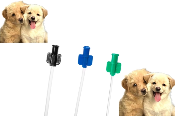 Buon prezzo Catetere urinario per cani in PVC tubo di ritenzione a scarico per animali domestici per la cura delle urine dei cani in linea