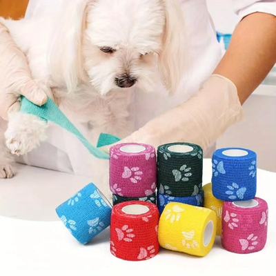 Buon prezzo Animali autoadesivi non tessuti Elastico Dog Paw Bandage Vetraps Cohesive Bandage Colorato Non Tessuto Elastico Autoadesivo Sport Bandage Vet Wrap in linea