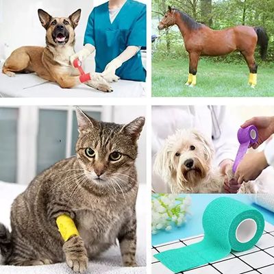Buon prezzo Elastico di grado medico Vet Wrap bandaggio coeso Non sterile di classe I Dispositivo autoadesivo Flessibile Wrap per il cane gatto cura delle ferite e supporto articolare in linea