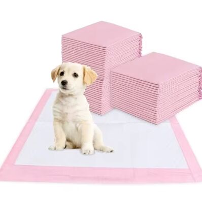 Buon prezzo Pad per animali da compagnia monouso superassorbente, resistente alle perdite, da asciugare velocemente, per addestramento dei cuccioli e per uso interno in linea
